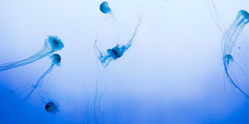 AI in retail demand forecasting and inventory optimization