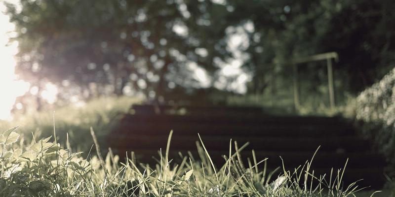 how to use AI for customer lifetime value prediction