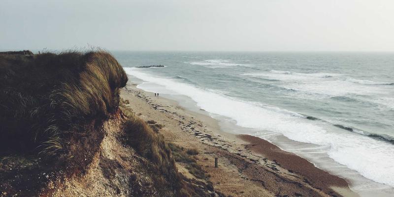 how to use AI for personal branding and reputation management