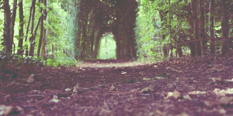 100 Blog Posts a Week: The AI Blueprint That Actually Works